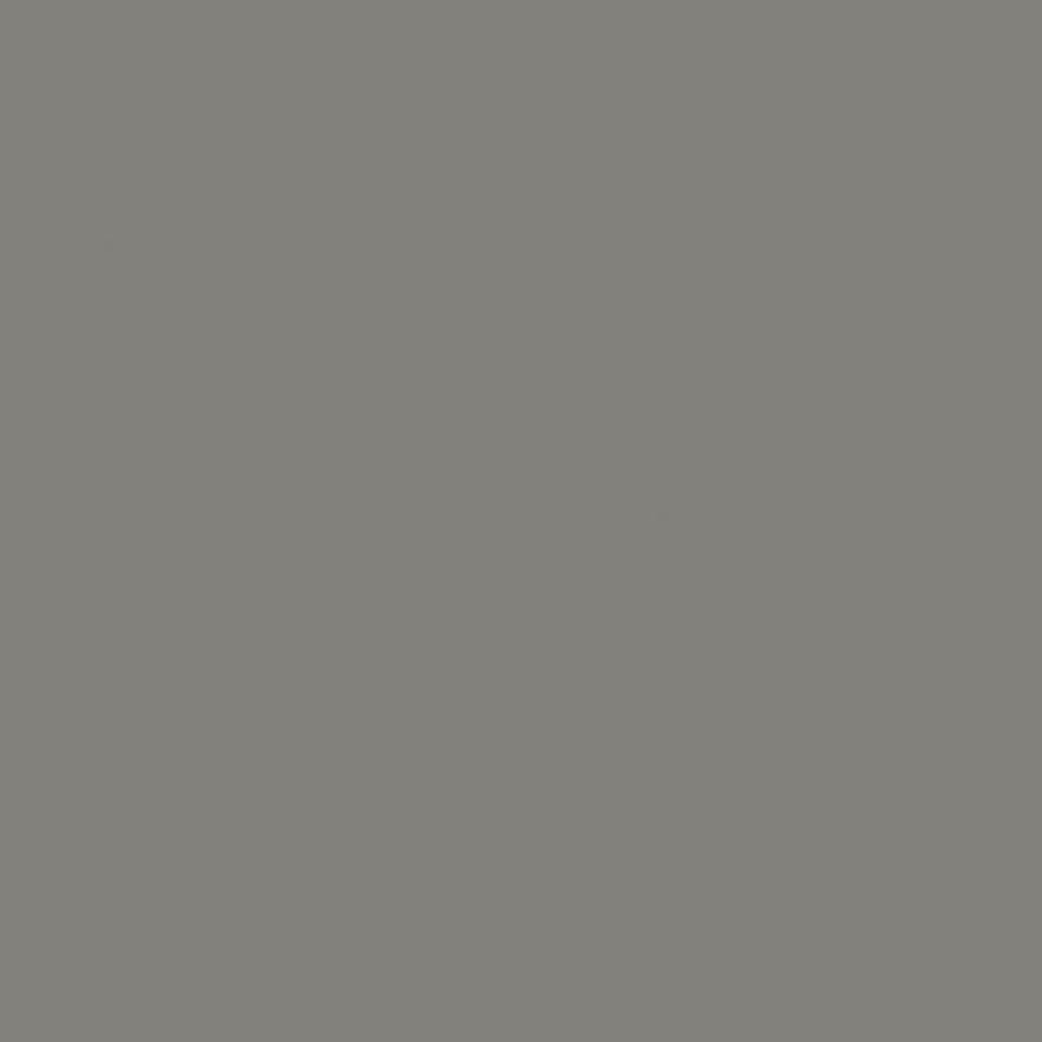 Tarkett OMNISPORTS ACTION 40 GREY