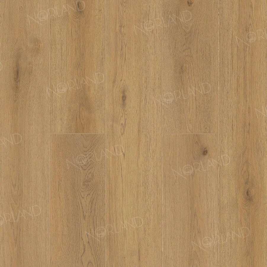 Norland Blake 1001-2