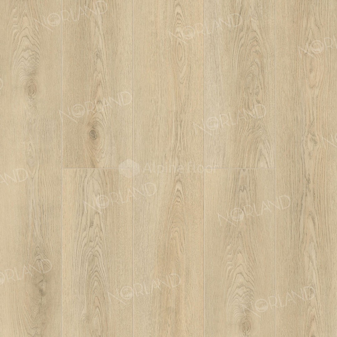 Norland Keya 1001-14