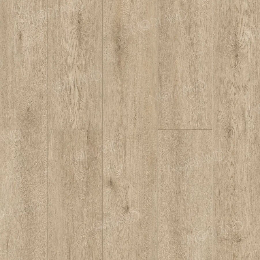 Norland Abbi 1001-1
